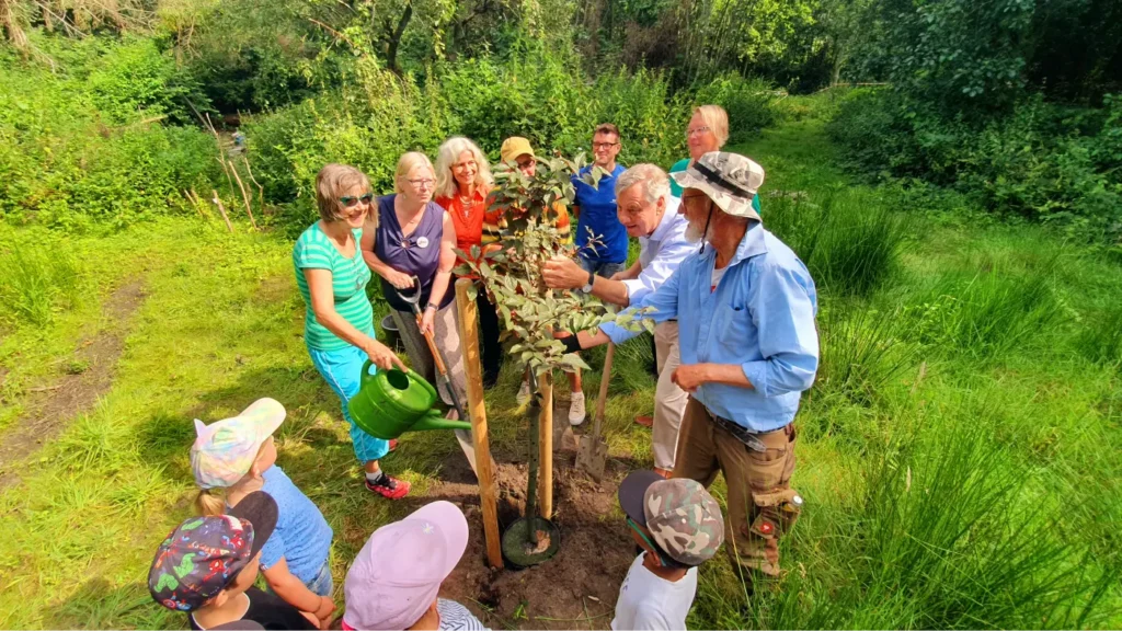 Kommunen für biologische Vielfalt - Praxisbeispiel - Stadt Lübeck - Grün für alle5