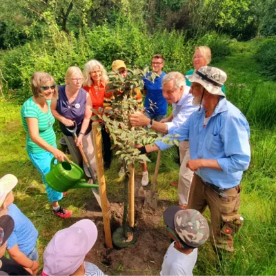 Kommunen für biologische Vielfalt - Praxisbeispiel - Stadt Lübeck - Grün für alle5