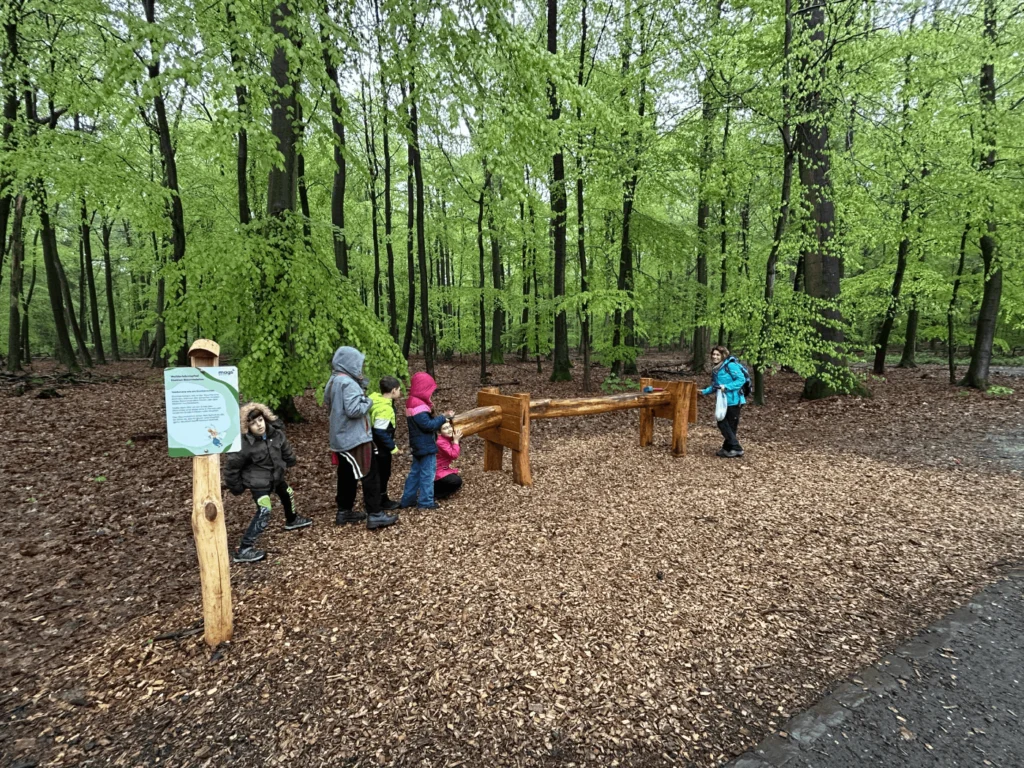 Kommunen für biologische Vielfalt - Praxisbeispiel - Stadt Mönchengladbach - Waldschule mit Walderlebnispfad2