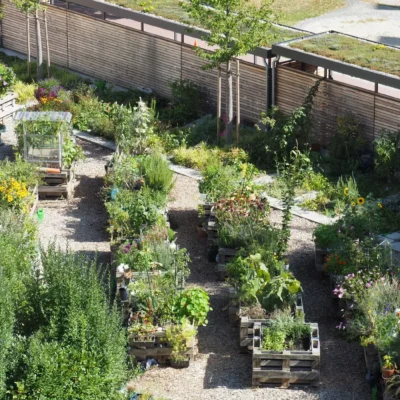 Kommunen für biologische Vielfalt - Praxisbeispiel - Stadt München - Förderprogramm Begrünung1