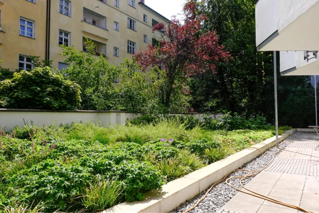 Kommunen für biologische Vielfalt - Praxisbeispiel - Stadt München - Förderprogramm Begrünung2