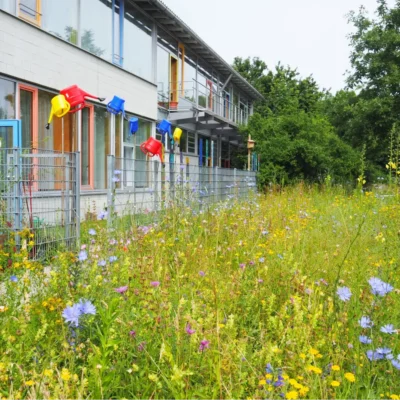 Kommunen für biologische Vielfalt - Praxisbeispiel - Stadt München - Wettbewerb1