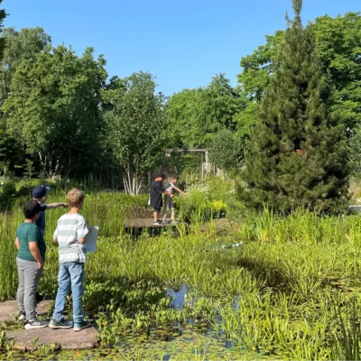 Kommunen für biologische Vielfalt - Praxisbeispiel - Stadt Steinfurt - Tag der Artenvielfalt2 - Workshop Teich