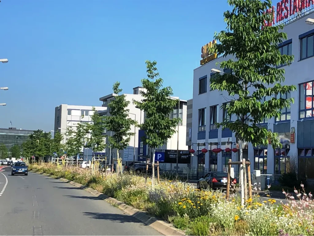Kommunen für biologische Vielfalt - Praxisbeispiel - Stadt Dreieich - Entsiegelungsprojekt Robert-Bosch-Straße1