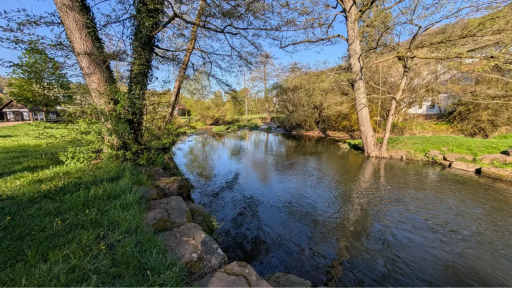 StadtGrün naturnah Bad Brückenau3. Die Sinn