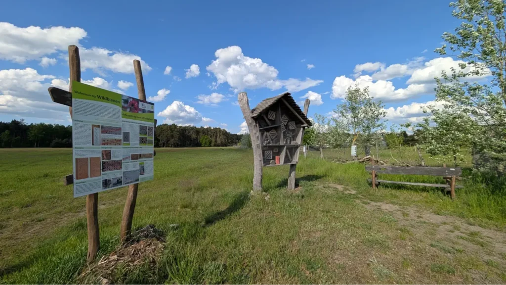 StadtGrün naturnah Beelitz2. Lehrpfad