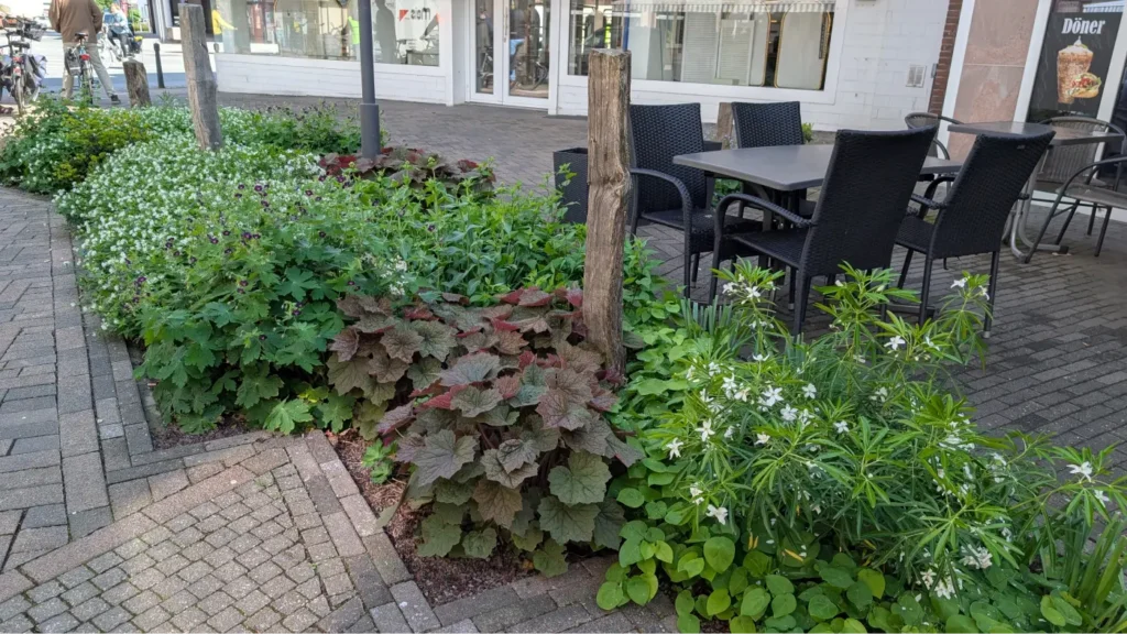 StadtGrün naturnah Borken1. Staudenpflanzung mit Totholzstelen in der Fußgängerzone