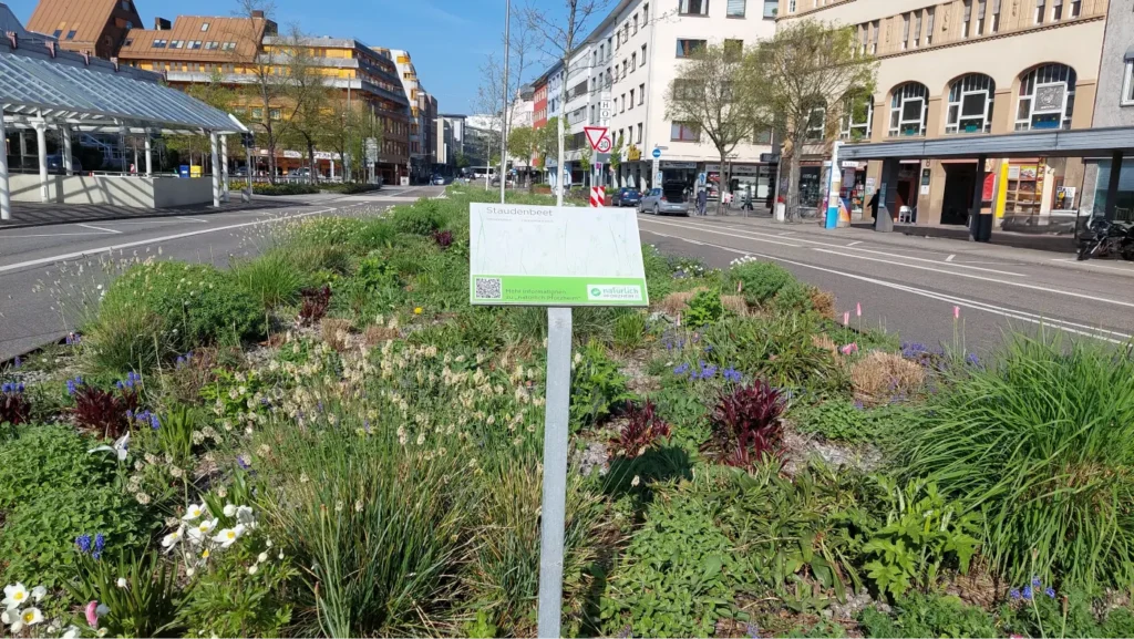 StadtGrün naturnah Pforzheim1. Zerrennerstraße