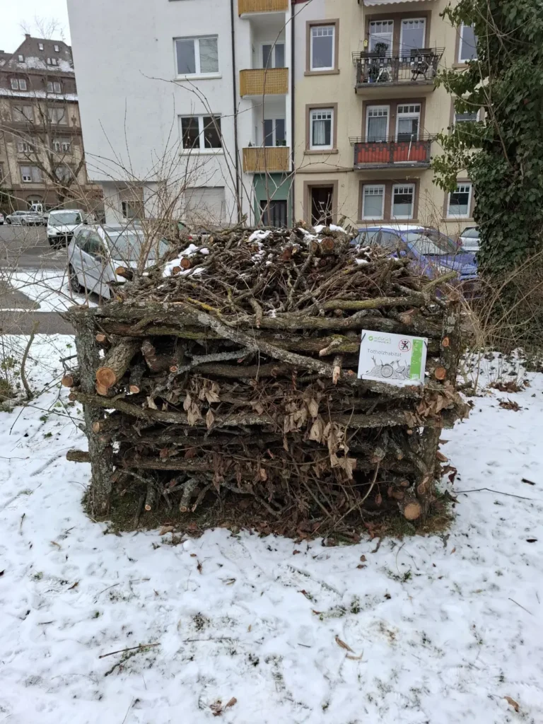 StadtGrün naturnah Pforzheim3. Totholzhabitat