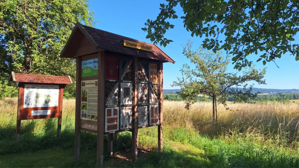StadtGrün naturnah Sankt Wendel3. Obstbaumlehrpfad Winterbach