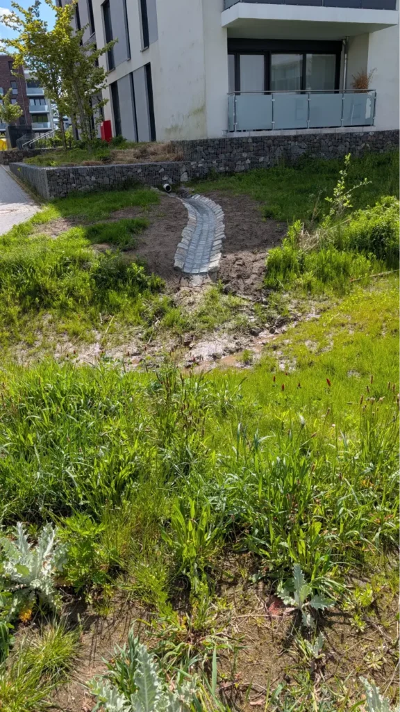 StadtGrün naturnah Wolfsburg3. Wassermanagement