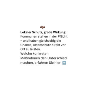 Tiere der Stadt Zwergfledermaus4