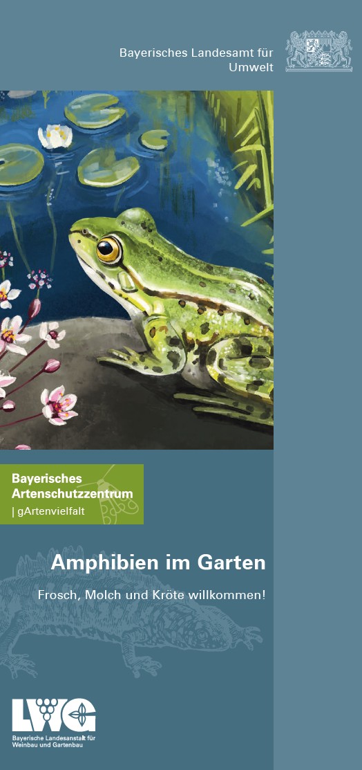 Amphibien im Garten