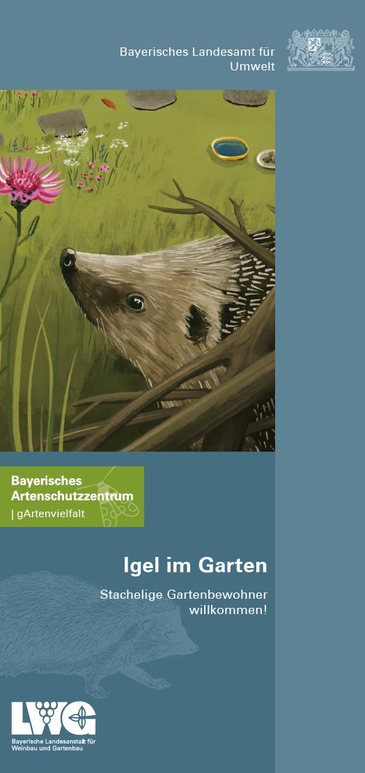 Igel im Garten