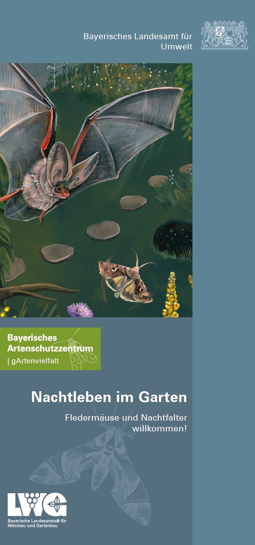 Nachtleben im Garten