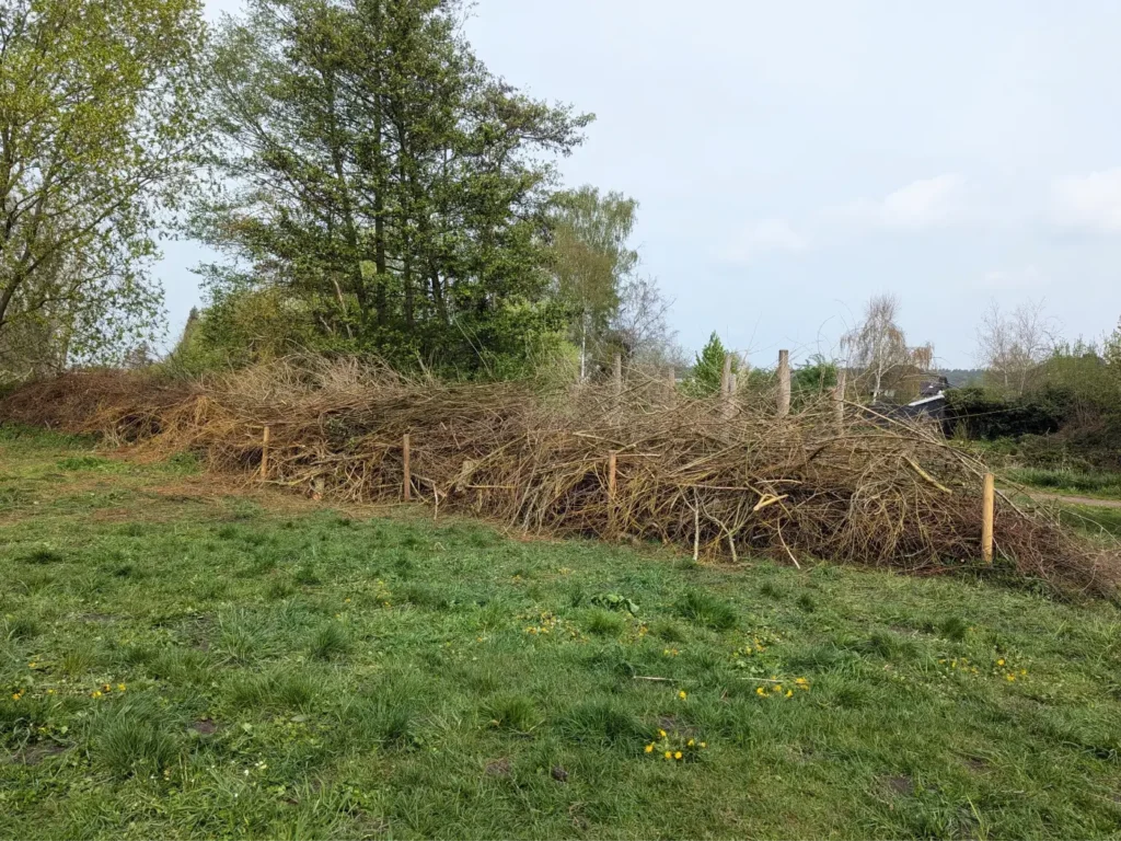 StadtGrün naturnah Haldensleben1. Benjeshecke am Naturerlebnispfad
