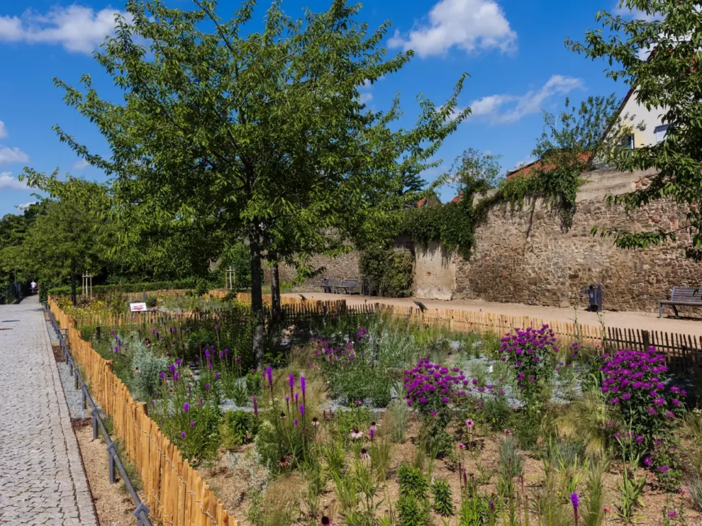 StadtGrün naturnah Haldensleben2. Klima-Schaubeet