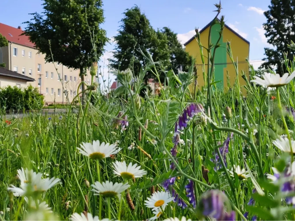 StadtGrün naturnah Haldensleben3. Rolandgarten