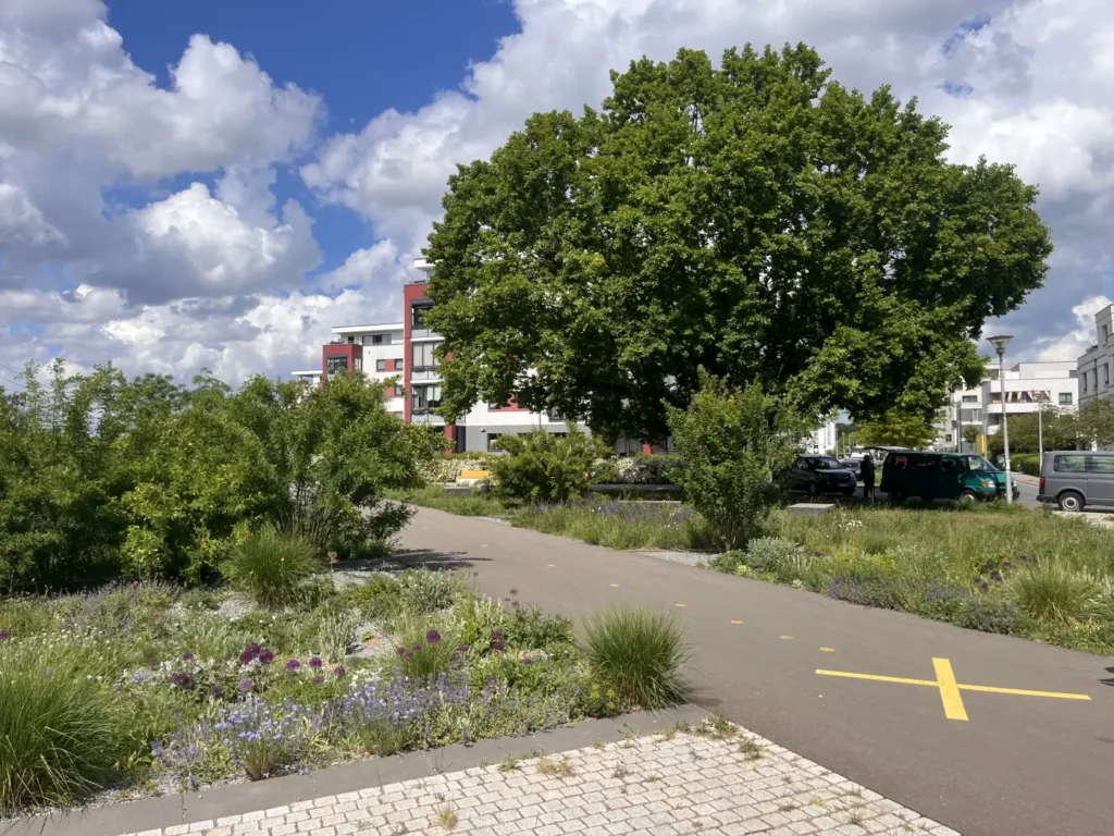 StadtGrün naturnah Treptow-Köpenick2